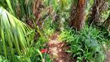 235 147TH Street - Photo 66