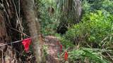 235 147TH Street - Photo 67
