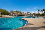 12287 Lavender Loop - Photo 45