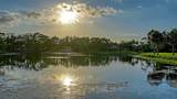75 Osprey Point Drive - Photo 66