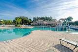 924 Buttercup Glen - Photo 46