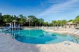 924 Buttercup Glen - Photo 47