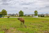1273 Red Hill Road - Photo 81