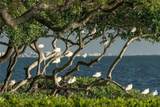 56 Tidy Island Boulevard - Photo 99