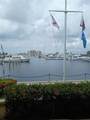 2600 Harbourside Drive - Photo 15