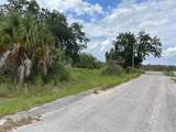 852 Shirley Street - Photo 23