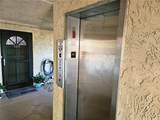 1650 Pine Tree Lane - Photo 28