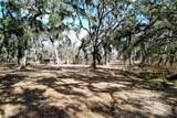 15210 Rough Diamond Ranch Road - Photo 67
