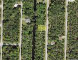 337 Overbrook Street - Photo 2