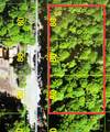 392 & 400 Dexter Street - Photo 1