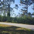 12282 Appleberg Circle - Photo 11