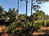 Lot 11 Sheno Drive - Photo 2
