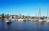 3313 Sunset Key Circle - Photo 49