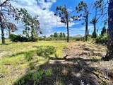 228 Fairway Road - Photo 1