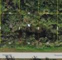972 Biscayne Drive - Photo 2