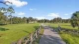 33380 Walnut Drive - Photo 3