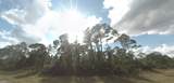  Marlberry Road - Photo 4