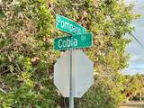 50 Cobia Drive - Photo 8