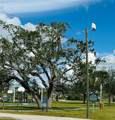 4315 Garden Road - Photo 9