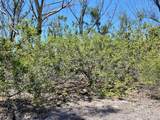  The Island Property Manasota Key - Photo 12