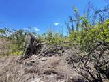  The Island Property Manasota Key - Photo 14