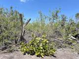  The Island Property Manasota Key - Photo 20