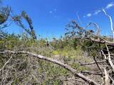  The Island Property Manasota Key - Photo 5