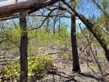  The Island Property Manasota Key - Photo 7