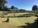 30110 Loblolly Pine Drive - Photo 18