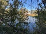 13636 Sulky Drive - Photo 3