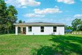 444 Oak Canopy Circle - Photo 32