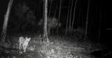  Black Burn Road - Photo 18