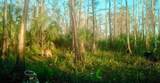  Black Burn Road - Photo 20