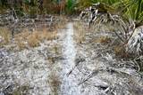  Black Burn Road - Photo 24