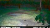  Black Burn Road - Photo 26