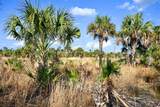  Black Burn Road - Photo 27