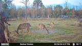  Black Burn Road - Photo 28