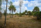  Black Burn Road - Photo 29