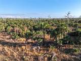 Black Burn Road - Photo 32