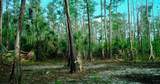  Black Burn Road - Photo 33