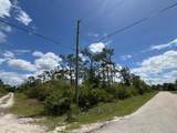 29305 Hazelwood Drive - Photo 6