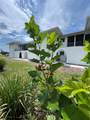 146 Boundary Boulevard - Photo 21