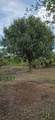 16171 254TH Street - Photo 11