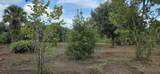16171 254TH Street - Photo 9