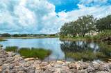 19355 Water Oak Drive - Photo 85