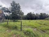 2480 Genes Little Acres Avenue - Photo 37