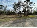27051 Suede Drive - Photo 2