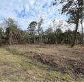 27051 Suede Drive - Photo 3