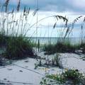 431 Kettle Harbor Drive - Photo 40
