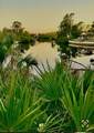 12333 Koenig Lane - Photo 4